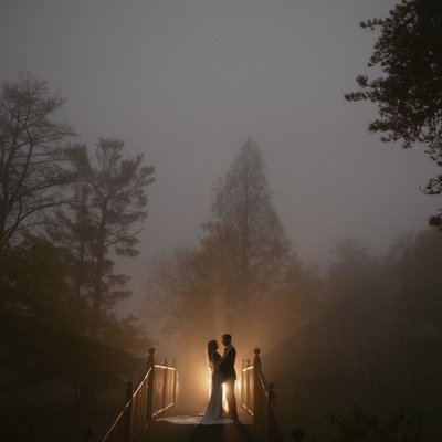 best wedding silhouette in the fog