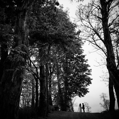 best wedding silhouette woods