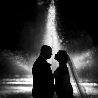 best wedding silhouette with water