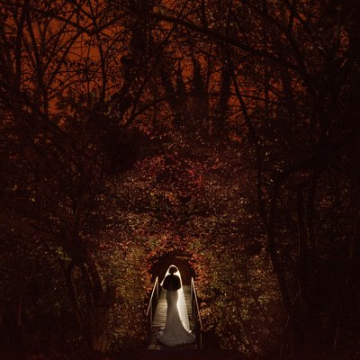 best wedding silhouette nighttime