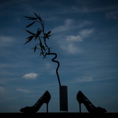 top wedding silhouette shoes