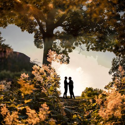 best wedding silhouette in a park