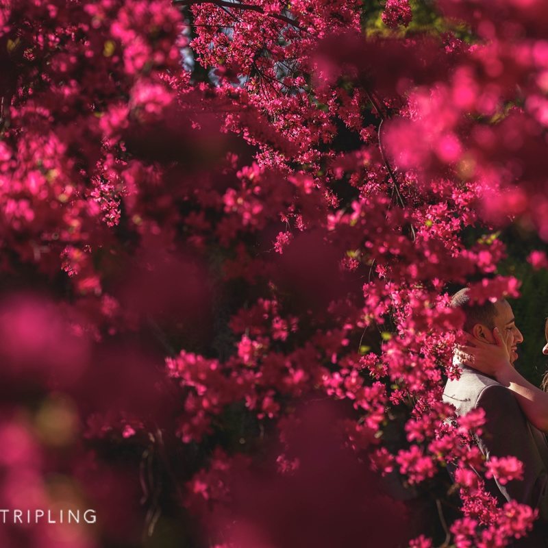 Stone Mill Wedding Photographers