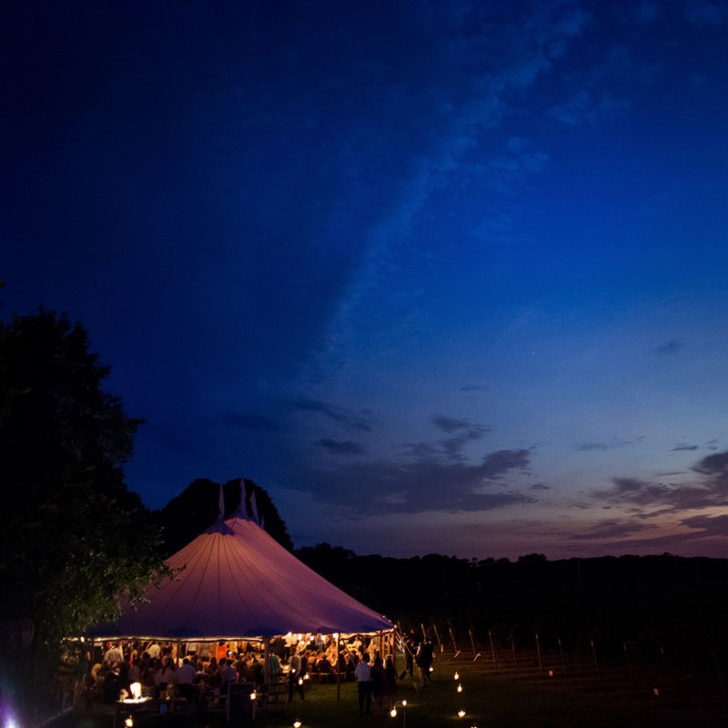 Bedell Cellars Wedding