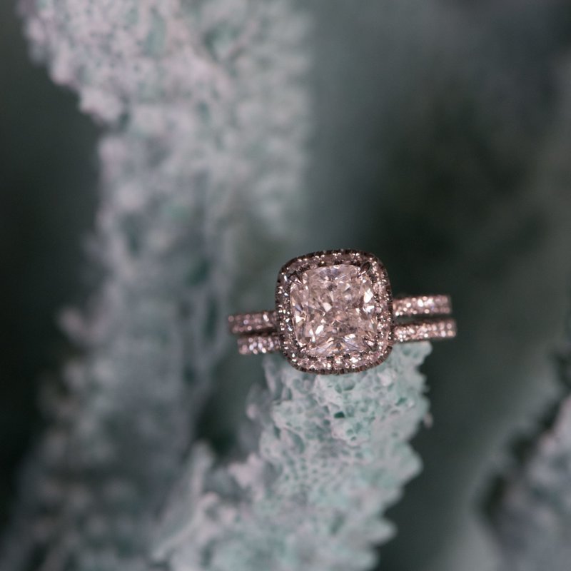 Belle Mer Wedding Reviews