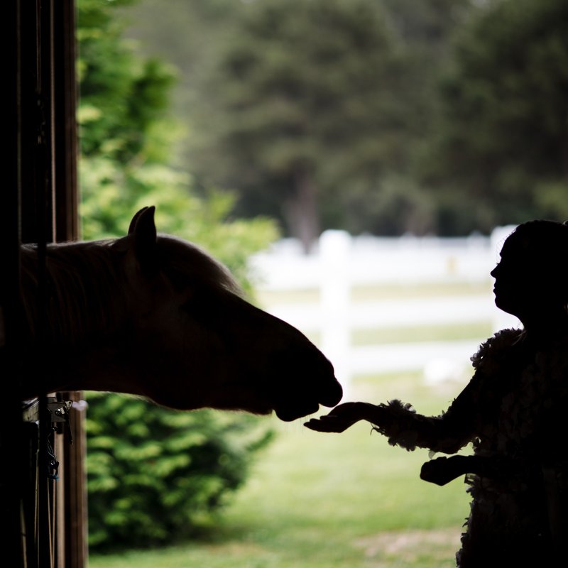 Bridgehampton NY Wedding Photographer