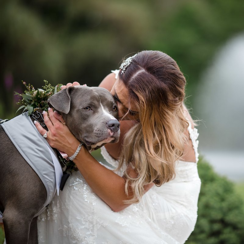 Wedding Pictures Flowerfield