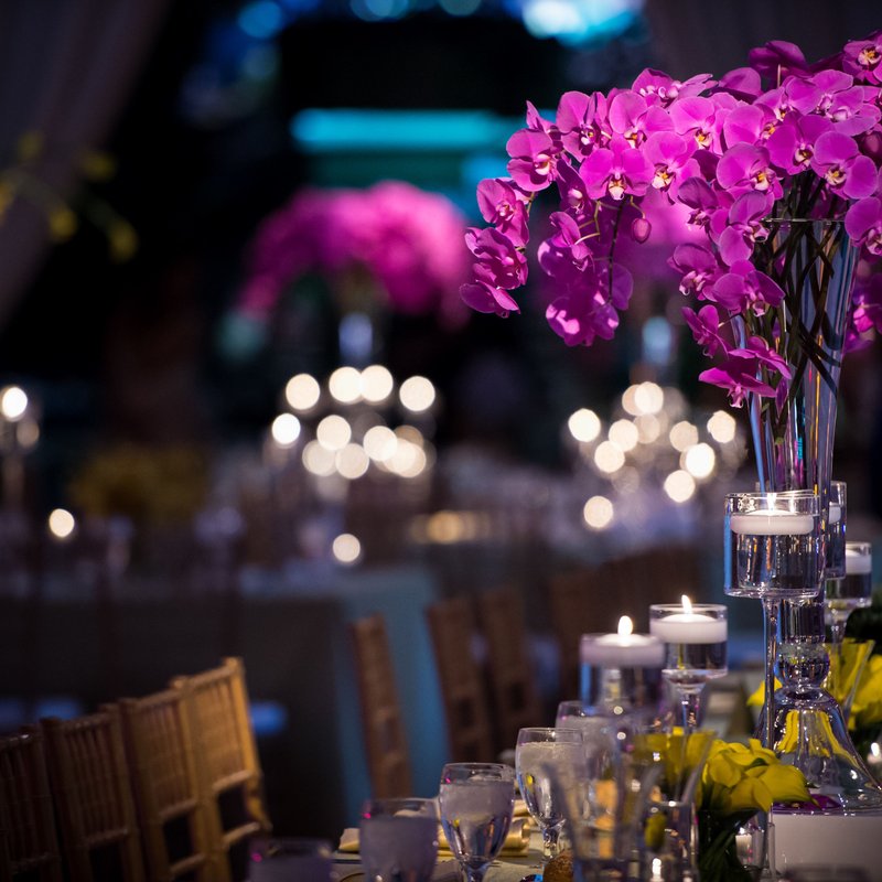 Logan Hotel Wedding Pictures