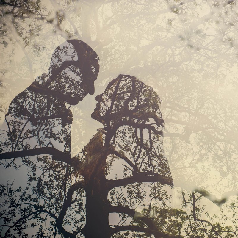 New York Botanical Gardens Wedding Photographers