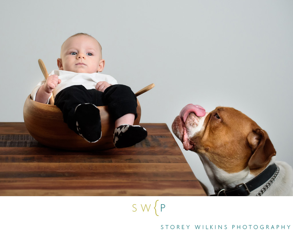 When Dog Meets Baby: Creative Newborn Storytelling