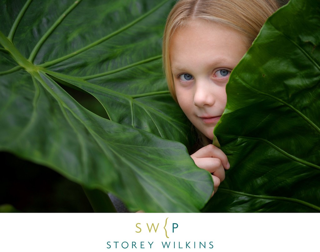 Peek-a-Boo in Palm Leaves: Magic at Edwards Gardens