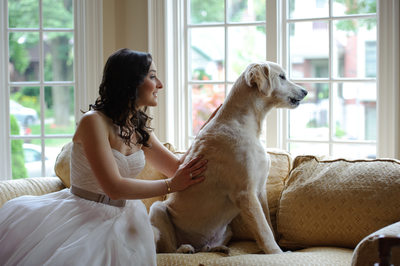 Lawrence Park Wedding Photography | Bride & Her Dog