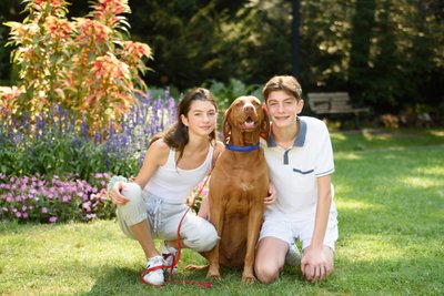 Family & Dog Portraits at Muir Gardens