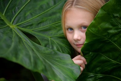 Peek-a-Boo in Palm Leaves: Magic at Edwards Gardens