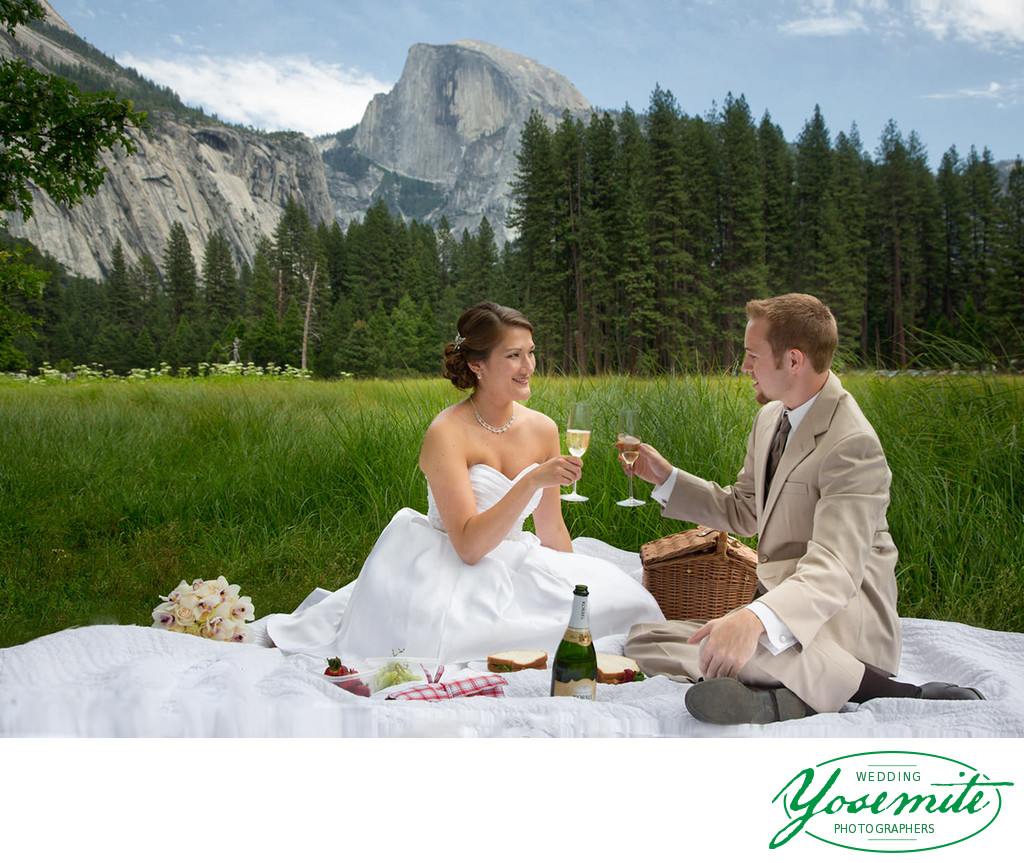 Newlyweds picnic in Cook's Meadow