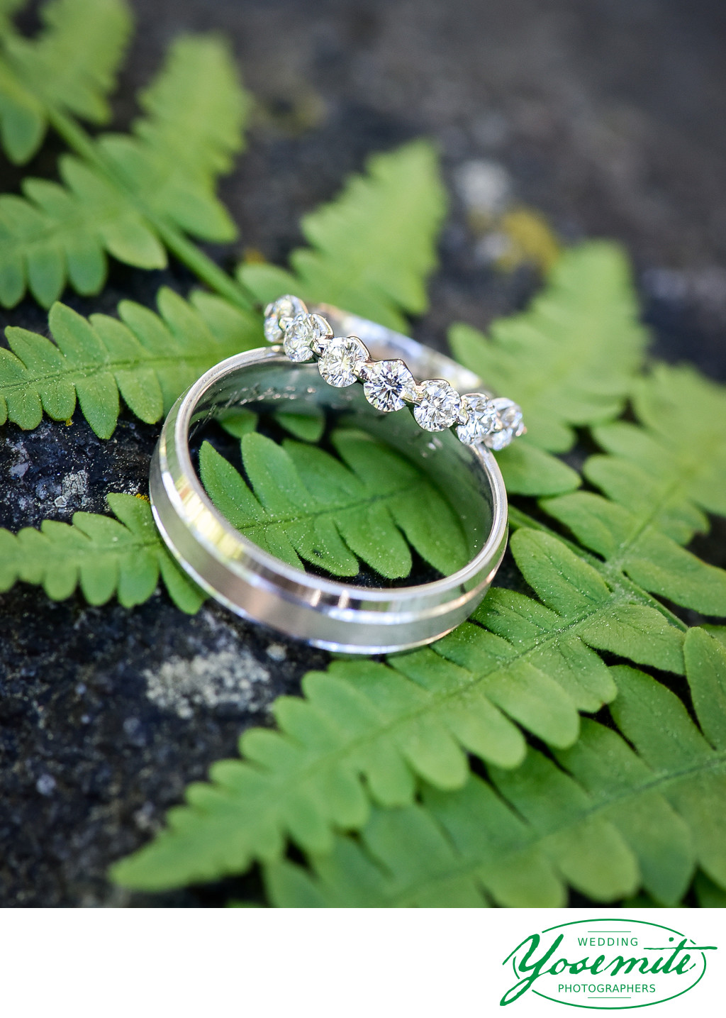 wedding rings on a fern, yosemite national park
