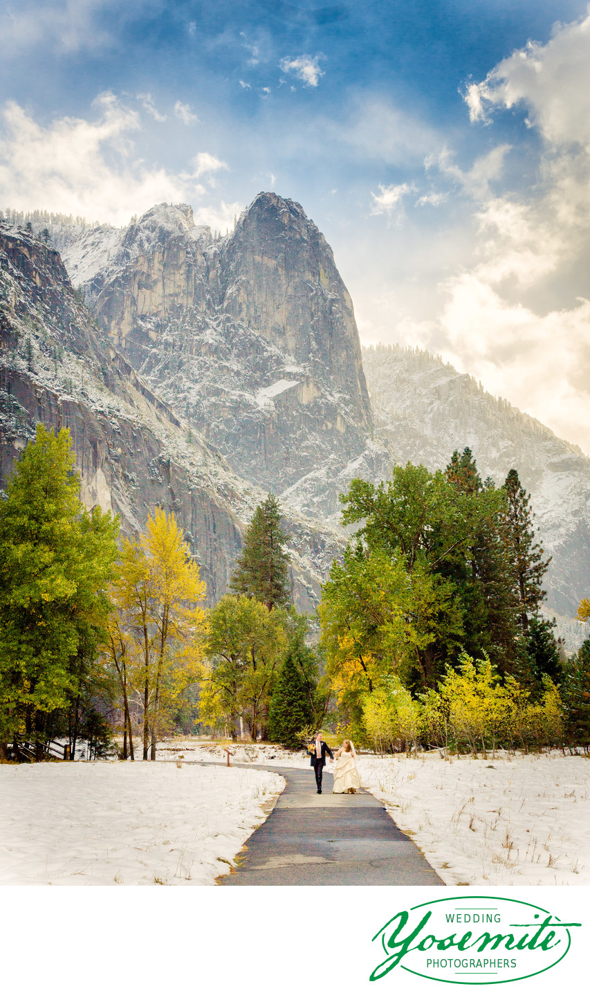 White Wedding Yosemite