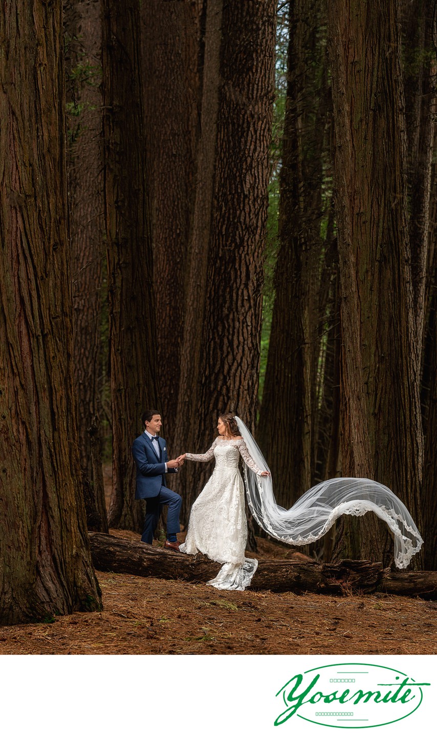Yosemite Newlyweds Forest Wedding