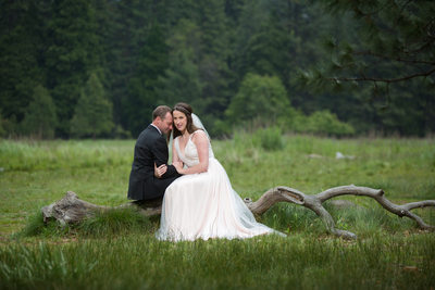 Formal Portrait of Bride And Groom In Meadow Yosemite Wedding
