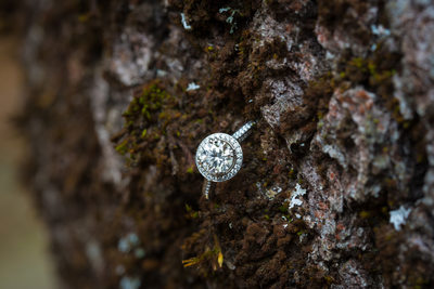 Bride's Engagement Ring in bark at Majestic Yosemite Hotel