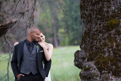 Bride And Groom In Meadow At Yosemite National Park