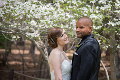 Bride Admires Groom Under Dogwood Trees