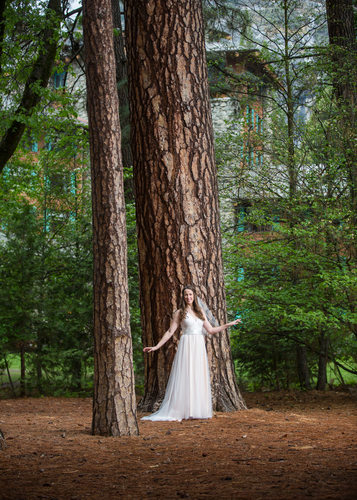 Bridal Portrait Under Big Trees at Ahwahnee Hotel