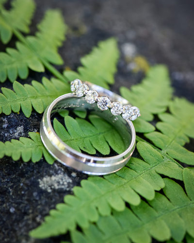 wedding rings on a fern, yosemite national park