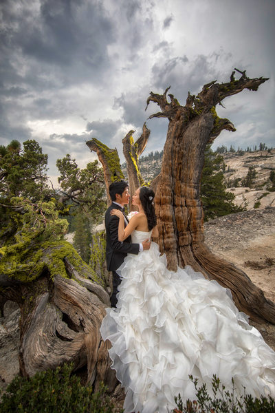 Pre wedding photoshoot Yosemite Olmstead Point