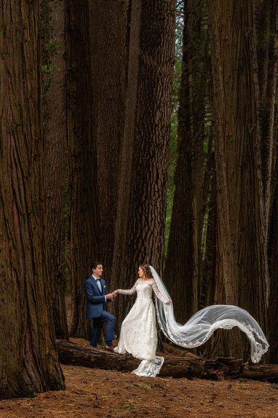 Yosemite Newlyweds Forest Wedding