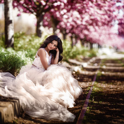Philadelphia Cherry Blossom  Bridal Portraits