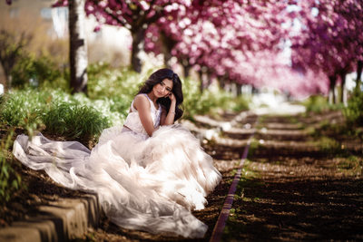 Philadelphia Cherry Blossom  Bridal Portraits