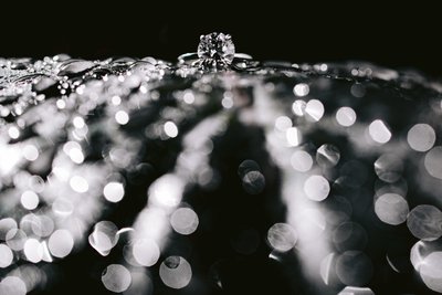 Longwood garden engagement rings