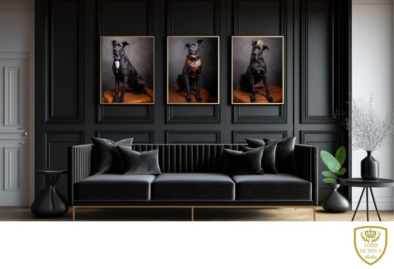 Pets Graphic Wall Artwork Mockups - 17