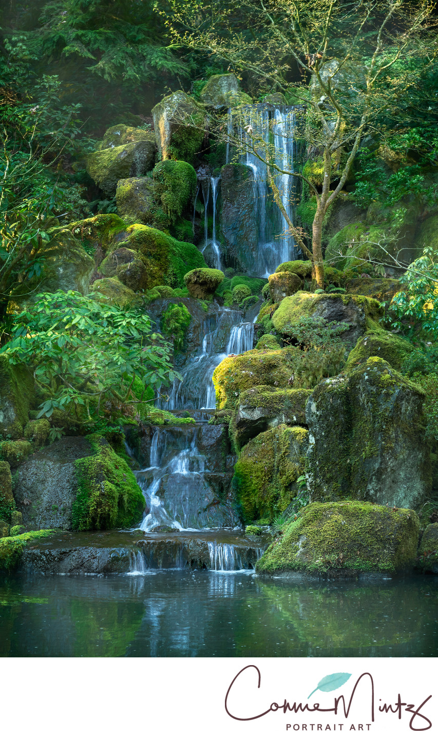Japanese Garden Waterfall in Spring