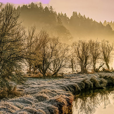 Signs of Frost