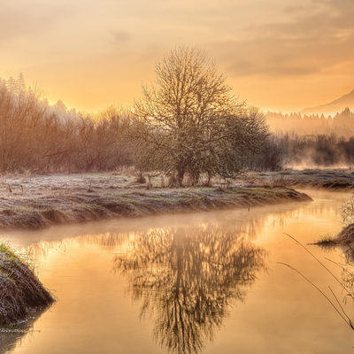 Late Summer on Salmon Creek