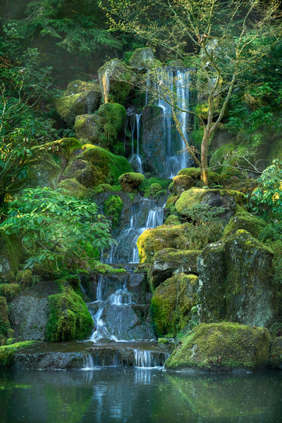 Japanese Garden Waterfall in Spring