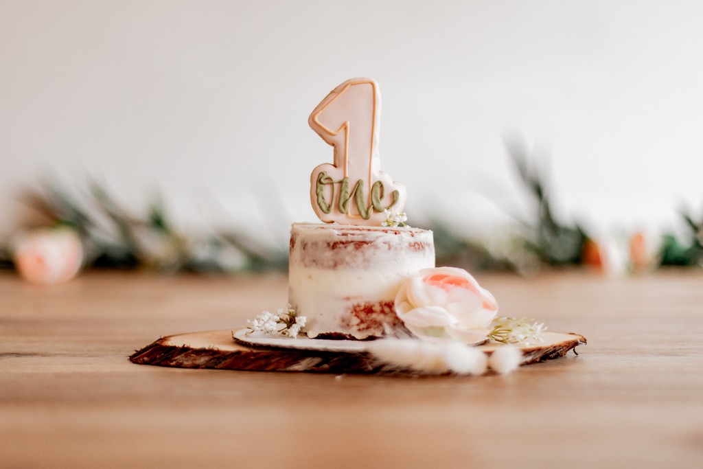 Sioux Falls SD smash cake photographer3
