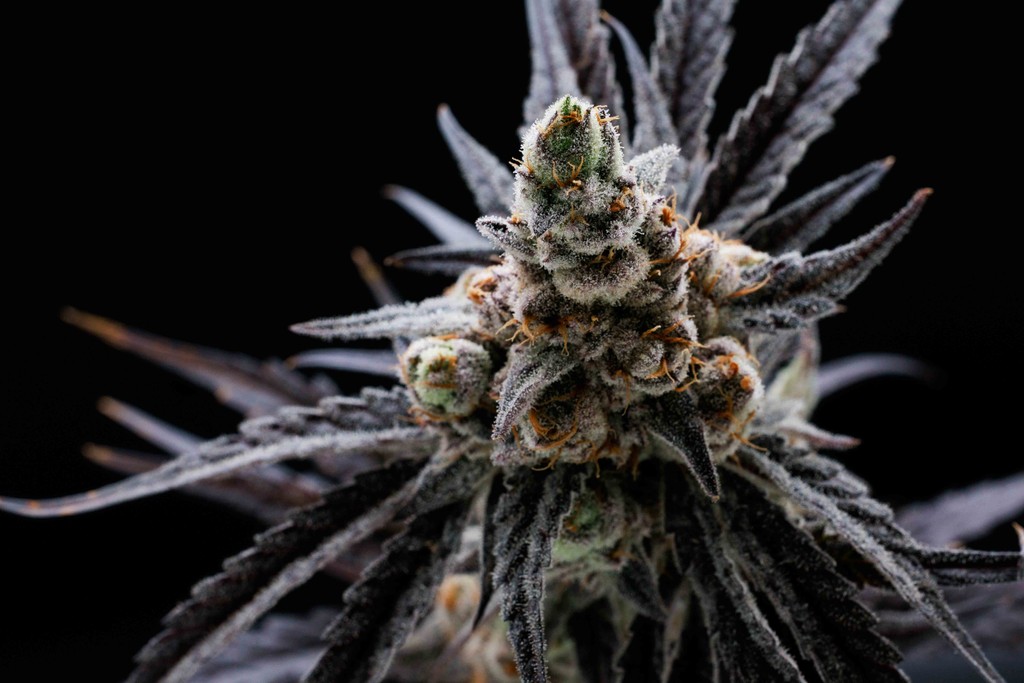 Sioux Falls Product Photographer-4