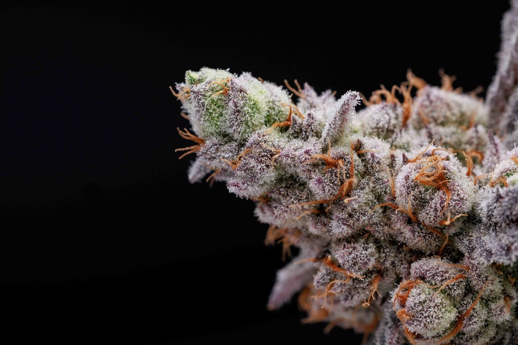 Sioux Falls Product Photographer-6