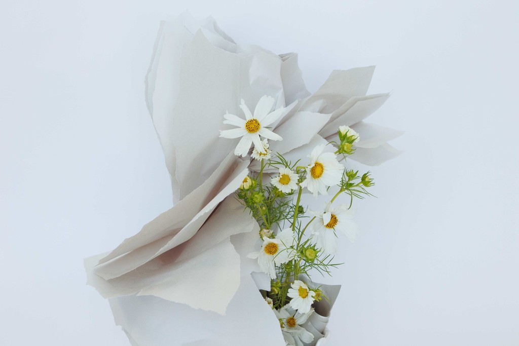 Sioux Falls Photographer Head Shots-66