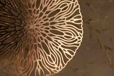 Commercial Photographer Sioux Falls-3