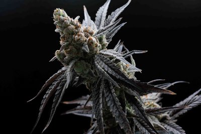 Sioux Falls Product Photographer-2