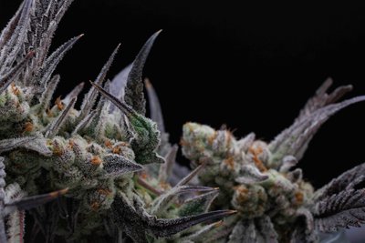 Sioux Falls Product Photographer-3