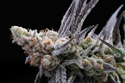 Sioux Falls Product Photographer-5