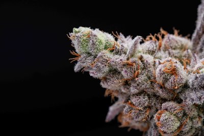 Sioux Falls Product Photographer-6