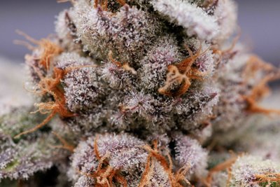 Sioux Falls Product Photographer-7