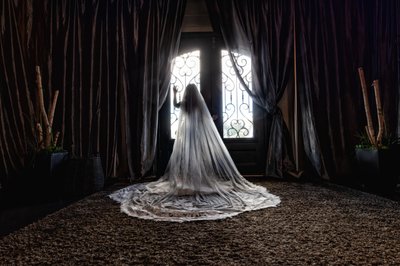 Window at The Locale