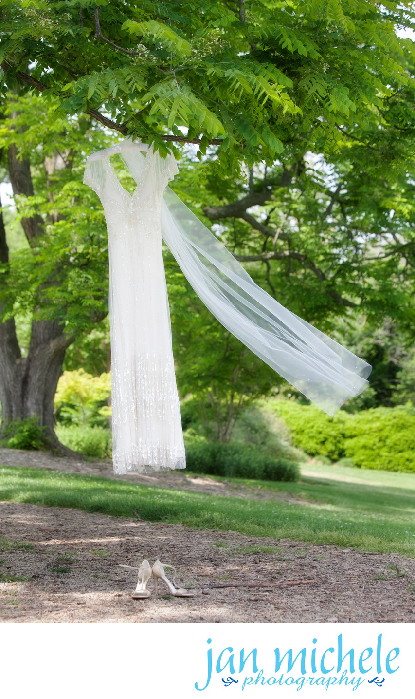 Wedding Gown hanging from a tree at River Farm